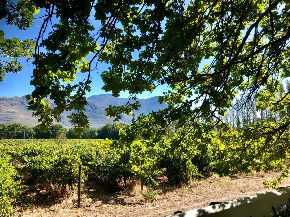 Le Manoir De Brendel Bed and Breakfast Franschhoek Εξωτερικό φωτογραφία