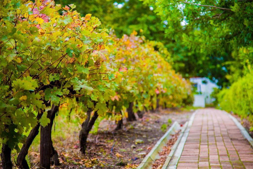 Le Manoir De Brendel Bed and Breakfast Franschhoek Εξωτερικό φωτογραφία